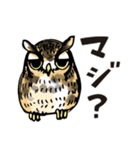 幸せのフクロウカフェchouette 大阪 心斎橋（個別スタンプ：7）