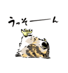 幸せのフクロウカフェchouette 大阪 心斎橋（個別スタンプ：8）