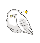 幸せのフクロウカフェchouette 大阪 心斎橋（個別スタンプ：12）