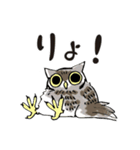 幸せのフクロウカフェchouette 大阪 心斎橋（個別スタンプ：13）