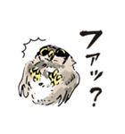 幸せのフクロウカフェchouette 大阪 心斎橋（個別スタンプ：14）