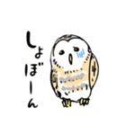 幸せのフクロウカフェchouette 大阪 心斎橋（個別スタンプ：16）