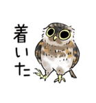 幸せのフクロウカフェchouette 大阪 心斎橋（個別スタンプ：18）