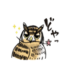 幸せのフクロウカフェchouette 大阪 心斎橋（個別スタンプ：19）