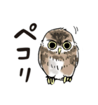 幸せのフクロウカフェchouette 大阪 心斎橋（個別スタンプ：20）