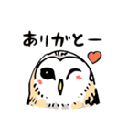 幸せのフクロウカフェchouette 大阪 心斎橋（個別スタンプ：25）