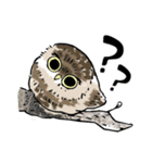 幸せのフクロウカフェchouette 大阪 心斎橋（個別スタンプ：26）