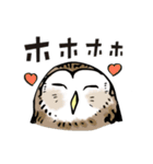 幸せのフクロウカフェchouette 大阪 心斎橋（個別スタンプ：29）