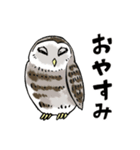 幸せのフクロウカフェchouette 大阪 心斎橋（個別スタンプ：31）