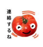 のんびりトマトさん（個別スタンプ：18）