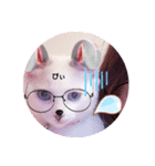 白ねこのみるく（個別スタンプ：1）