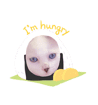 白ねこのみるく（個別スタンプ：7）