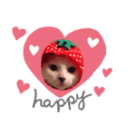 白ねこのみるく（個別スタンプ：8）