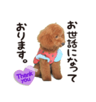 -よもぎ-（個別スタンプ：3）