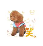 -よもぎ-（個別スタンプ：4）