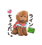 -よもぎ-（個別スタンプ：6）