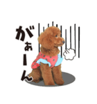 -よもぎ-（個別スタンプ：7）
