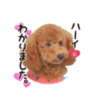 -よもぎ-（個別スタンプ：8）