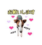 こんにちは♡ルーク（個別スタンプ：3）