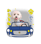 190817225210.825H7Gk.（個別スタンプ：2）