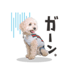190817225210.825H7Gk.（個別スタンプ：3）