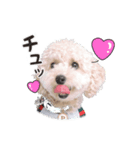 190817225210.825H7Gk.（個別スタンプ：7）