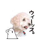 190817225210.825H7Gk.（個別スタンプ：8）