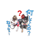 うたとチョコ（個別スタンプ：2）