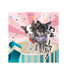 うたとチョコ（個別スタンプ：6）