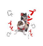 うたとチョコ（個別スタンプ：7）