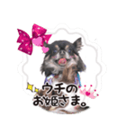 うたとチョコ（個別スタンプ：8）