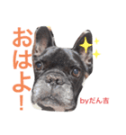 中上家 全員集合 すたんぷ。（個別スタンプ：1）