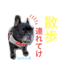 中上家 全員集合 すたんぷ。（個別スタンプ：7）