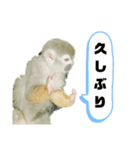 幅広く使えるん（個別スタンプ：8）
