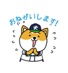 野球犬（個別スタンプ：4）