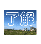 了解のみ（個別スタンプ：5）