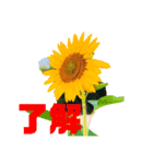 了解のみ（個別スタンプ：8）