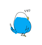 まるまるインコちゃん（個別スタンプ：6）
