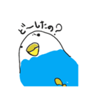まるまるインコちゃん（個別スタンプ：12）