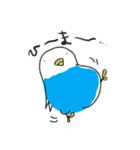 まるまるインコちゃん（個別スタンプ：18）
