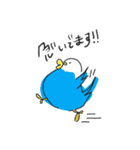 まるまるインコちゃん（個別スタンプ：22）