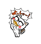 白猫又のシロ助★敬語ver.★（個別スタンプ：14）