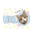 すずた☆スタンプ（個別スタンプ：1）