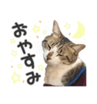 すずた☆スタンプ（個別スタンプ：2）