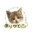すずた☆スタンプ（個別スタンプ：3）