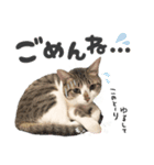 すずた☆スタンプ（個別スタンプ：4）
