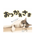 すずた☆スタンプ（個別スタンプ：6）