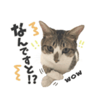 すずた☆スタンプ（個別スタンプ：8）