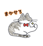 ちらかるねこちゃんまとめ（個別スタンプ：11）