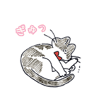 ちらかるねこちゃんまとめ（個別スタンプ：13）